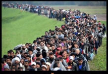 Всяческие картинки # 25.11.2021