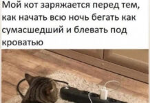 Так себе картинки # 14.11.2021