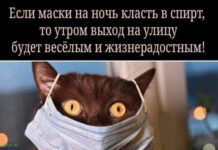 Чуток картинок # 20.12.2021