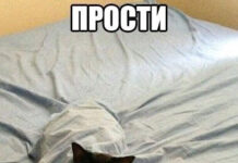 Так себе картинки # 17.12.2021