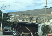 Подборка смешных картинок # 03.12.2021