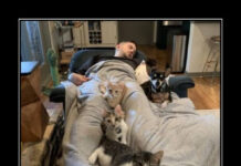 Баянисто-небаянистый юмор # 02.12.2021