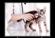 Нестандартный юмор :) # 06.12.2021