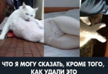 Нестандартный юмор :) # 31.12.2021