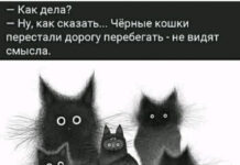 Так себе картинки # 27.12.2021