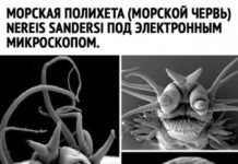 Чуток картинок # 23.12.2021