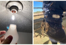 20 ситуаций, в которых спасет только чувство юмора # 06.12.2021