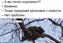 Чуток картинок # 11.12.2021