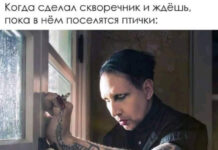 Всяческие картинки # 02.12.2021