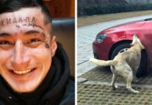 18 фотографий, доказывающих, что месть может быть разной # 03.12.2021