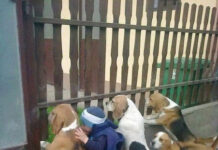 Чуток картинок # 13.01.2022