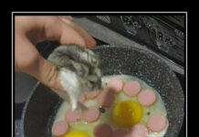 Нестандартный юмор :) # 12.01.2022