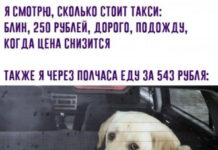 Баянисто-небаянистый юмор # 14.01.2022