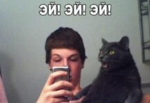 Подборка картинок для настроения # 12.01.2022