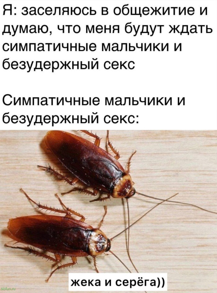 Пошлый юмор