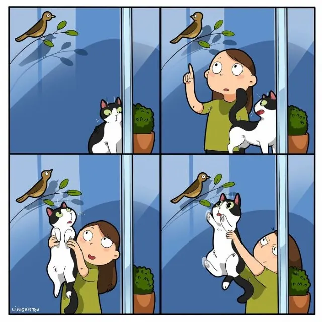 Забавные комиксы о реалиях жизни с кошкой