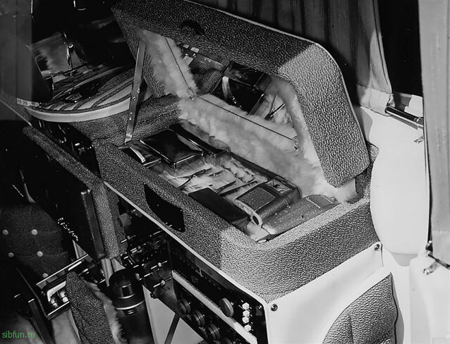 Роскошный «Золотой Кадиллак» 1960 года Элвиса Пресли  - 04.06.2022