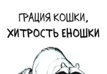 Подборка забавных комиксов о проблемах в жизни енота # 18.06.2023