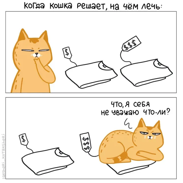 Забавный комикс про котиков для хорошего настроения
