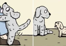 Комиксы французского художника для любителей нестандартного и чёрного юмора # 10.07.2023