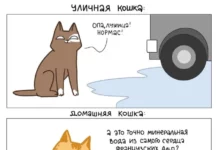 Забавный комикс про котиков для хорошего настроения # 05.07.2023