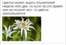 Рамки в буквах