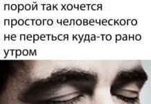 Лучшие скриншоты из соцсетей