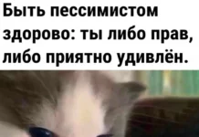 Так себе картинки (28.11.23)