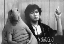 Картинки (29.11.23)