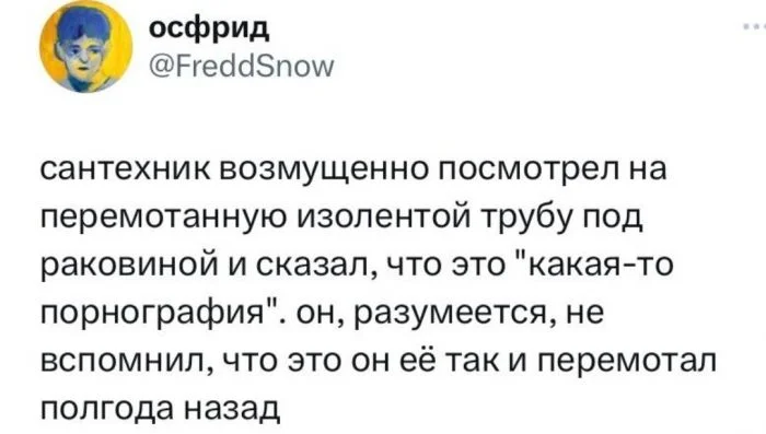 Сантехник-фантазер и его последствия