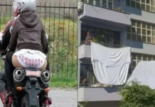 Вещи, которые мы все носим: Трусы как удивительный символ единства