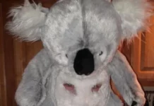 Чудики из соц сетей