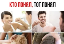 Нестандартный юмор :) (30.11.23)