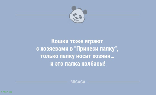 А спиритизмом, часом, не увлекаетесь? 