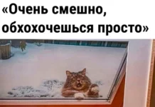 Так себе картинки (04.12.23)