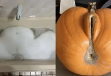 Когда образы играют воображением: парейдолия в восприятии озабоченного человека