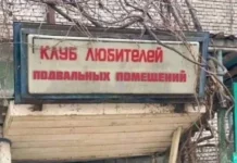 Картинки (02.12.23)