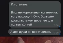 Немного картинок (02.12.23)