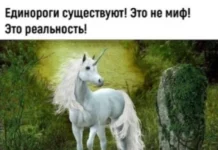 Картиночки