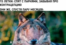 Не очень веселая картинка