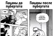 Новые анимешные мемы