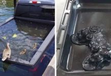 30 уроков на дороге к финансовой мудрости: истории о дорогостоящих ошибках