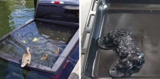 30 уроков на дороге к финансовой мудрости: истории о дорогостоящих ошибках