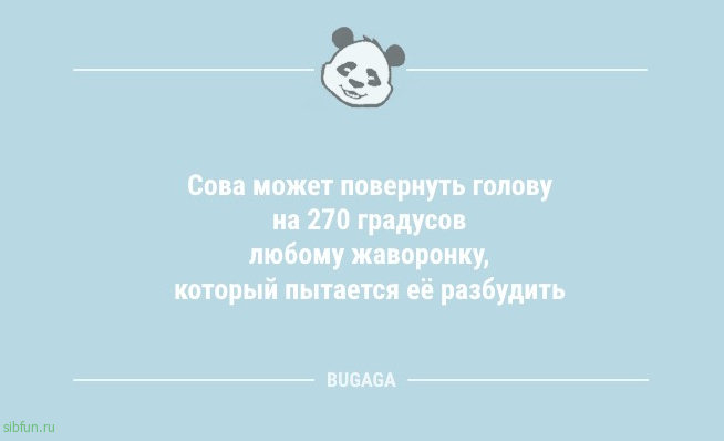 Анекдоты про занятие ерундой на рабочем месте, про настоящего интеллигента и многое другое 