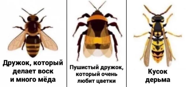 Юморески для взрослых