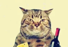 Пошленько и взросленько