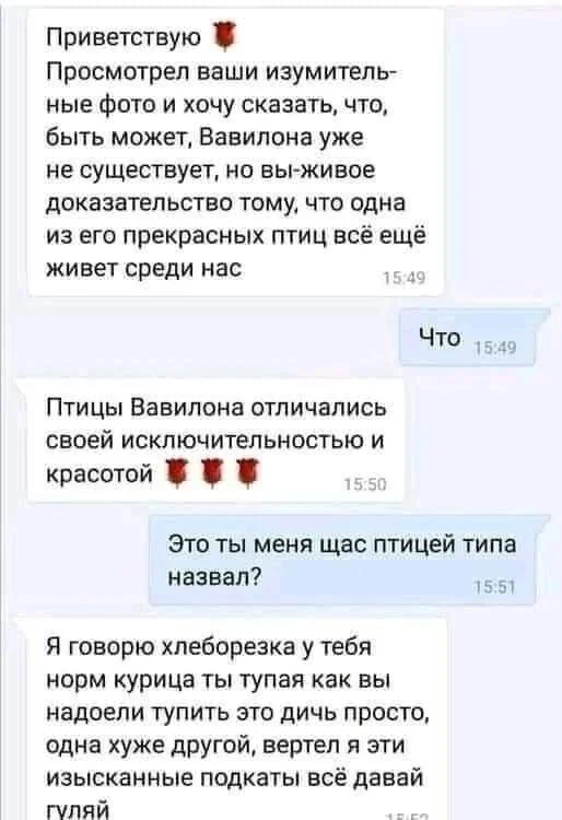 Даже немного взрослый юмор