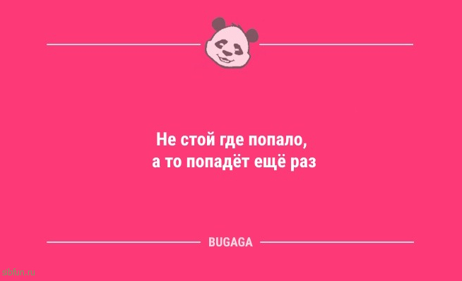 Смешные анекдоты в пятницу: "Коротко о себе…" 