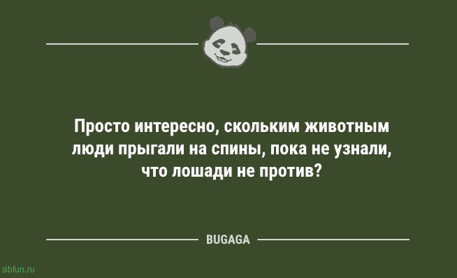 Анекдоты для пятничного настроения: "Москитная сетка…" 