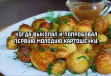 Весёлики